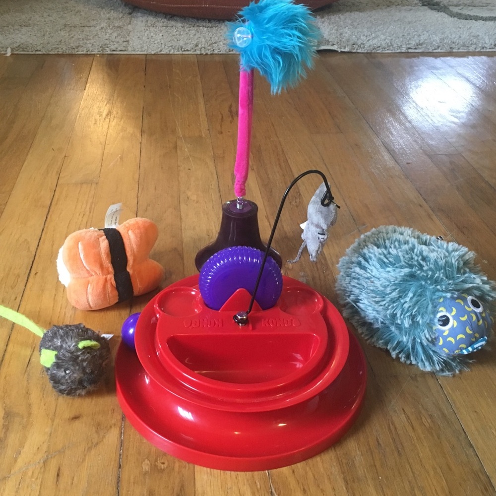 Box of cat toys